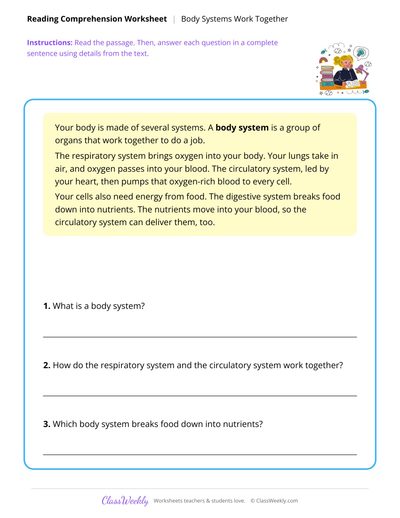 Body Systems Work Together - Human Body