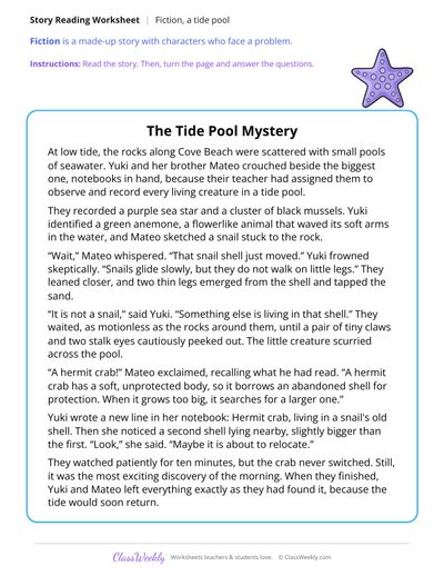 The Tide Pool Mystery (Fiction Passage)