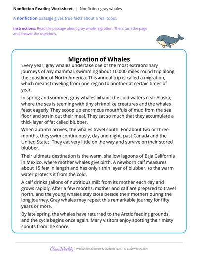 Migration of Whales (Nonfiction Passage)