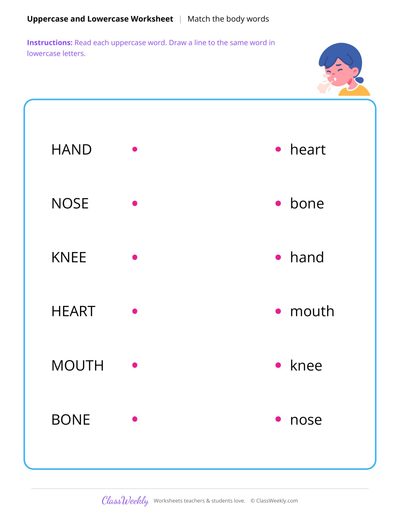 Match Uppercase and Lowercase Words - Human Body