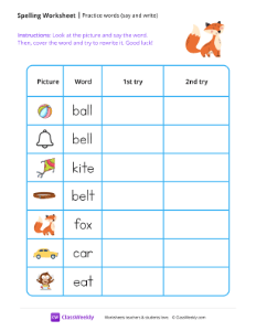 Practice words (say and write)