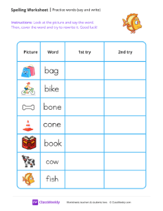 Practice words (say and write)