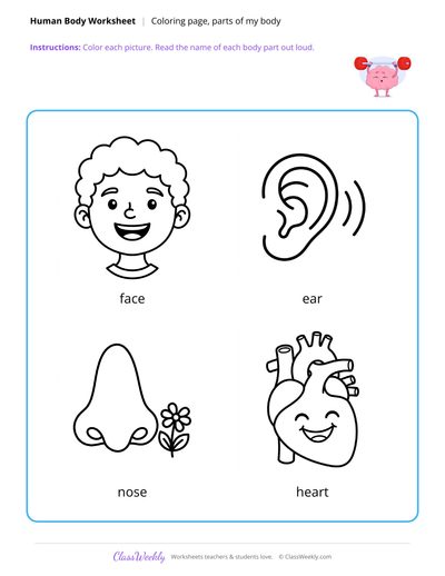 Parts of My Body Coloring Page - Human Body
