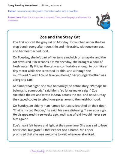 Zoe and the Stray Cat (Fiction Passage)