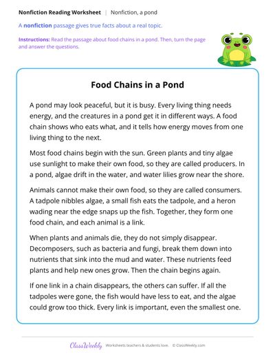 Food Chains in a Pond (Nonfiction Passage)