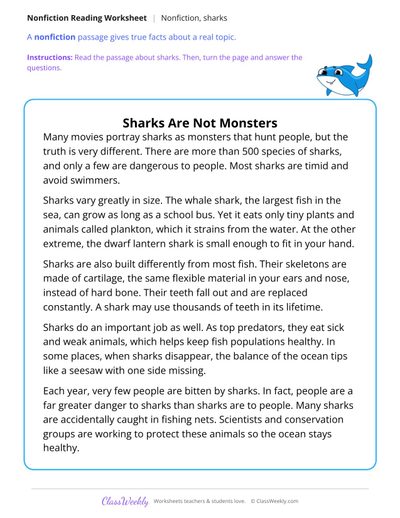 Sharks Are Not Monsters (Nonfiction Passage)