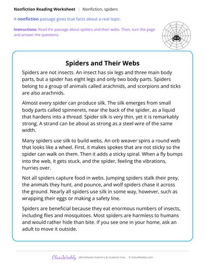 Spiders and Their Webs (Nonfiction Passage)