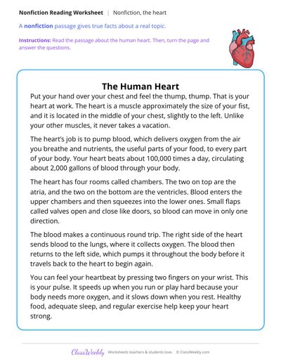 The Human Heart (Nonfiction Passage)
