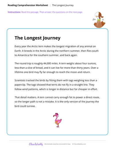 Reading Comprehension - The Longest Journey