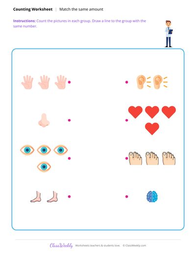Match the Same Amount - Human Body