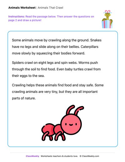 Animals That Crawl - Draw & Write Worksheet - Free Kindergarten Reading ...