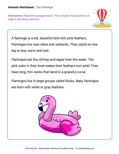 The Flamingo - Draw & Write Worksheet - Free Kindergarten Reading ...