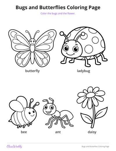 Bugs and Butterflies Coloring Page (Kindergarten)