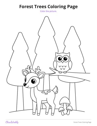 Forest Trees Coloring Page (Kindergarten)