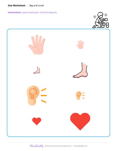 Big and Small - Human Body