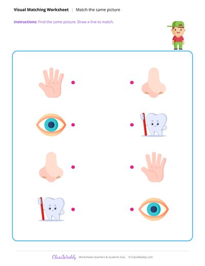 Match the Same Picture - Human Body