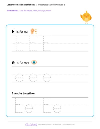 Uppercase E and Lowercase e - Human Body