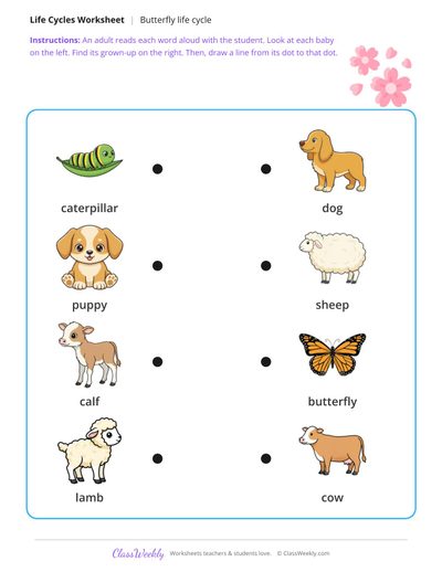 Match the baby to the grown-up