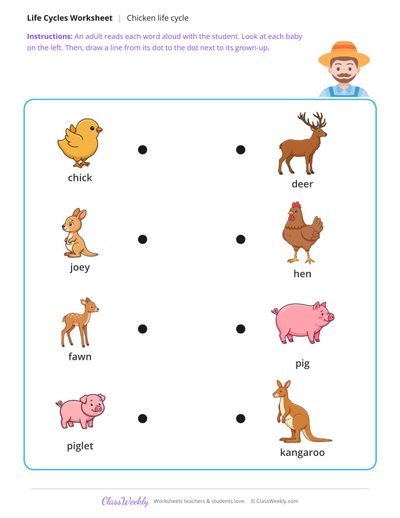 Match the baby to the grown-up