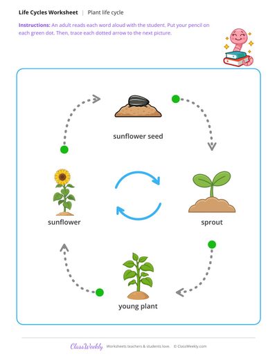 Trace the life cycle arrows