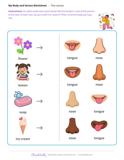 Which sense?