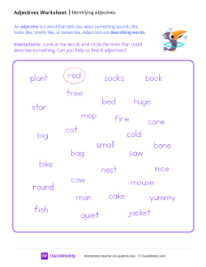 Identify Adjectives