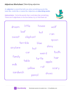 Identify Adjectives