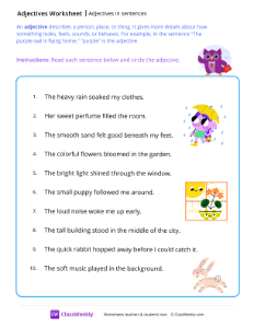 Adjectives in sentences