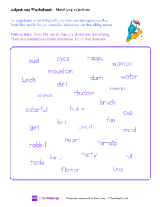 Identify Adjectives