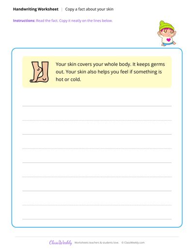 Copy a Fact - Human Body