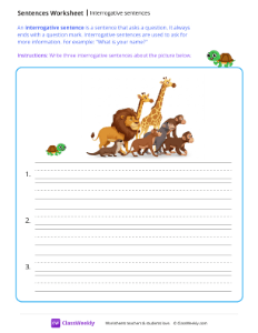 Interrogative sentences