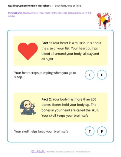 Body Facts, True or False - Human Body
