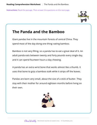 Reading Comprehension - The Panda and the Bamboo