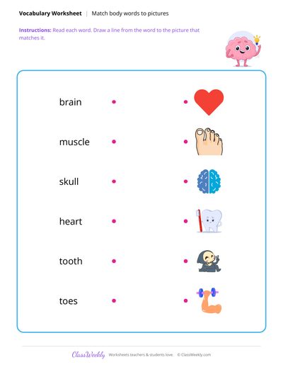 Match Words to Pictures - Human Body