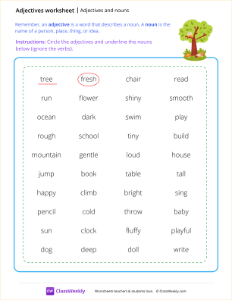 Adjectives and nouns
