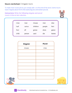 Irregular nouns