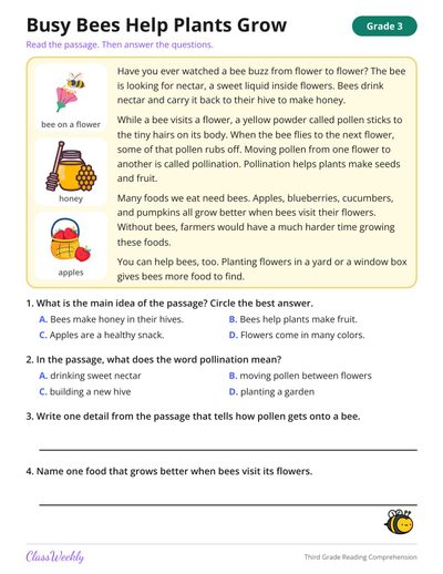 Third Grade Reading Comprehension