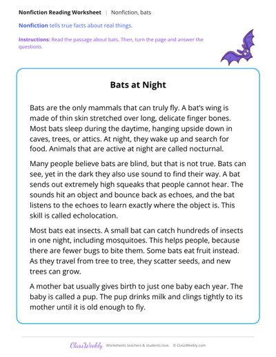 Bats at Night (Nonfiction Passage)