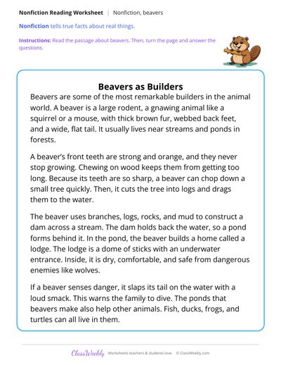 Beavers as Builders (Nonfiction Passage)