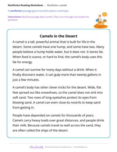 Camels in the Desert (Nonfiction Passage)