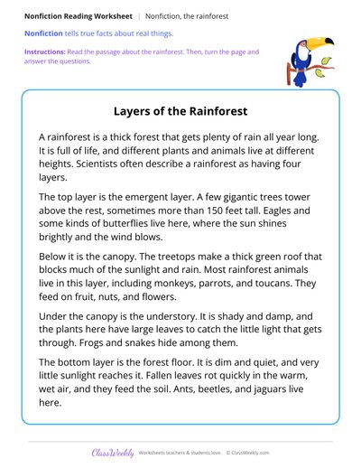 Layers of the Rainforest (Nonfiction Passage)