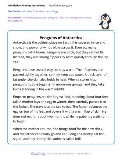Penguins of Antarctica (Nonfiction Passage)