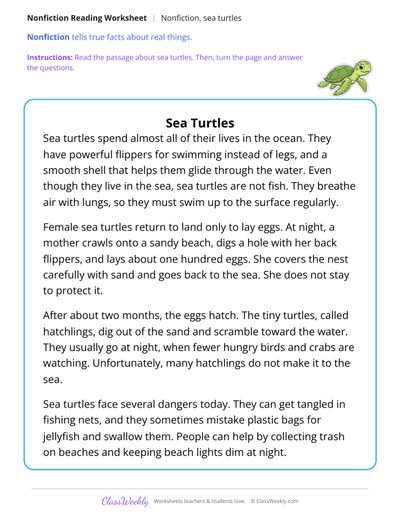 Sea Turtles (Nonfiction Passage)