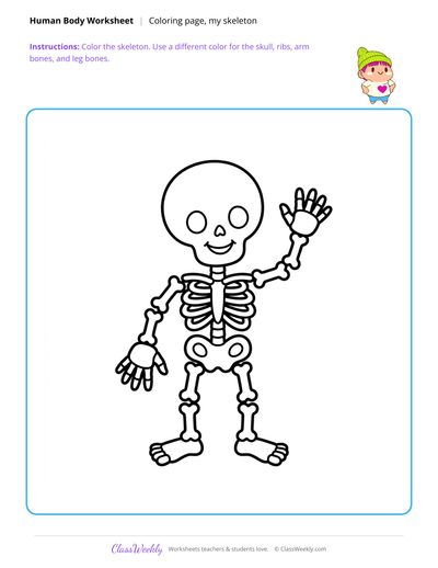 My Skeleton Coloring Page - Human Body